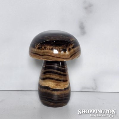 Chocolate Stone Mushroom #4