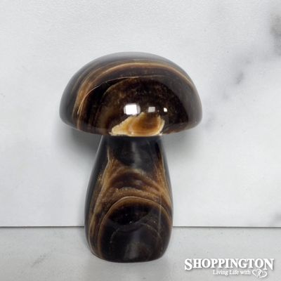 Chocolate Stone Mushroom #1