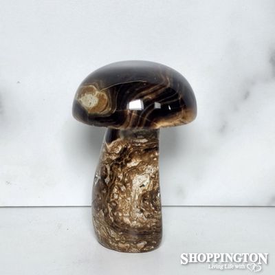 Chocolate Stone Mushroom #5