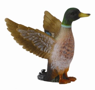 Collect A - Mallard Duck