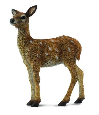 Collect A - Red Deer Calf