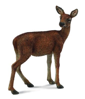 Collect A - Red Deer Hind