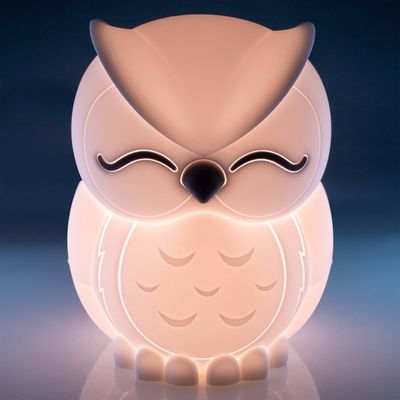 Lil Dreamers Soft Touch LED Night Light - Owl