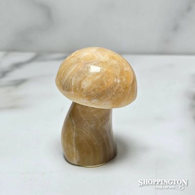 Peach Stone Mushroom #4
