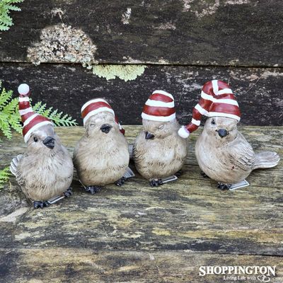 Christmas Robins in Hats