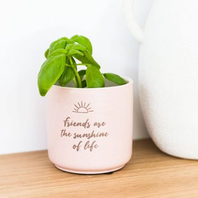 Positive Pots - Sunshine Friends