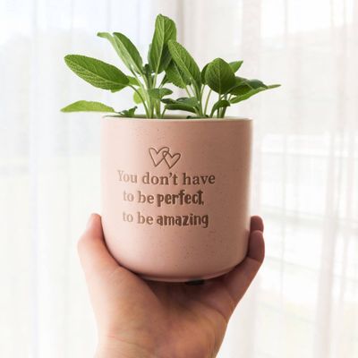 Positive Pots - Perfect Amazing