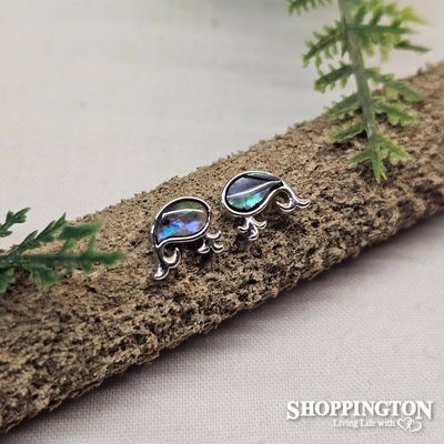 Earrings - Paua Whale Studs