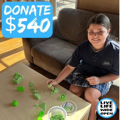 $540 Donation Empowers a Journey of Healing