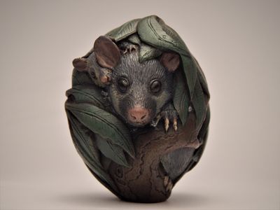 Nora Shayeb &#039;Brushtail Possum&#039; bronze sculpture