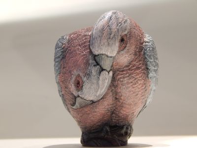 Nora Shayeb &#039;Galahs&#039; bronze sculpture