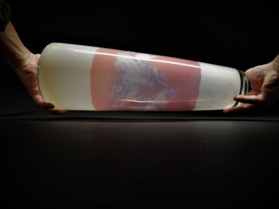 John Penman Photosensitive Glass &#039;Skeleton Leaves&#039; Vase