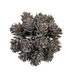 FROSTED PINECONE BALL