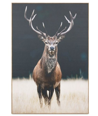 PHOTOGRAPHIC FRAMED MEADOW STAG CANVAS PRINT
