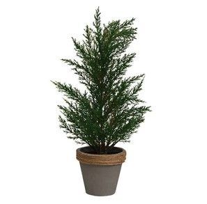 POTTED CYPRUS TREE- DARK GREEN LARGE