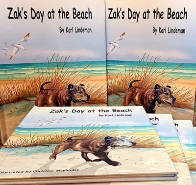 ZAKS DAY AT THE BEACH