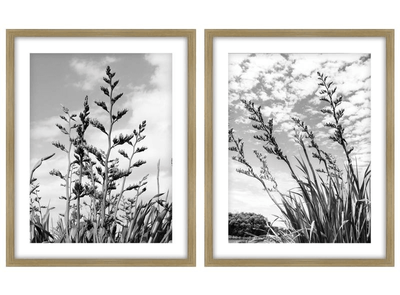 HARAKEKE DOUBLE FRAMED PRINT