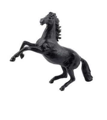 REARING HORSE