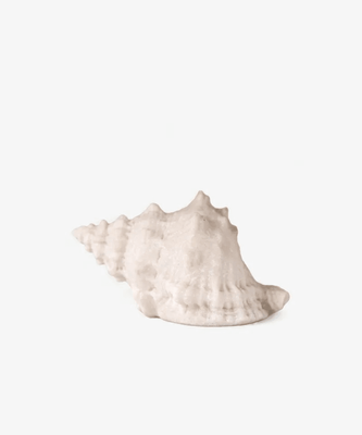 CONCH SHELL DECORATIVE LIGHT UP