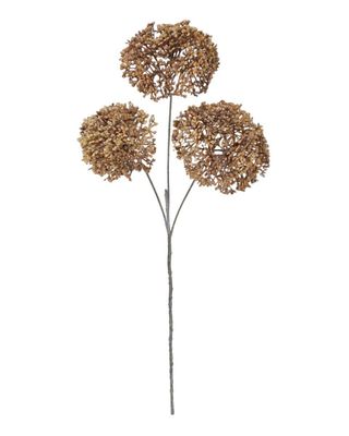 SEDUM SPRAY - BROWN