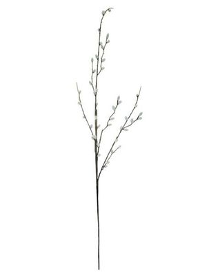 SPRING PUSSYWILLOW