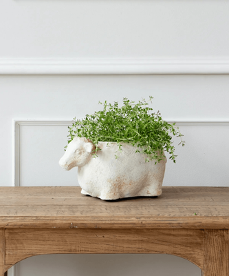 SHEEP FLOWER POT