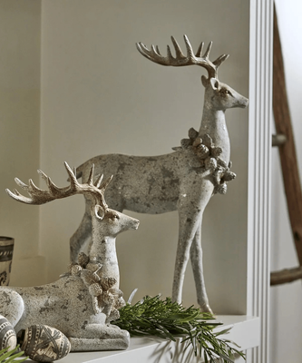 AURORA CELEBRATION STAG STANDING UP