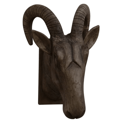 RAMS HEAD
