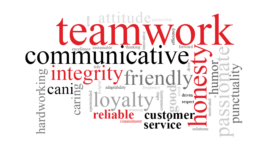 IQ Security Values Integrity