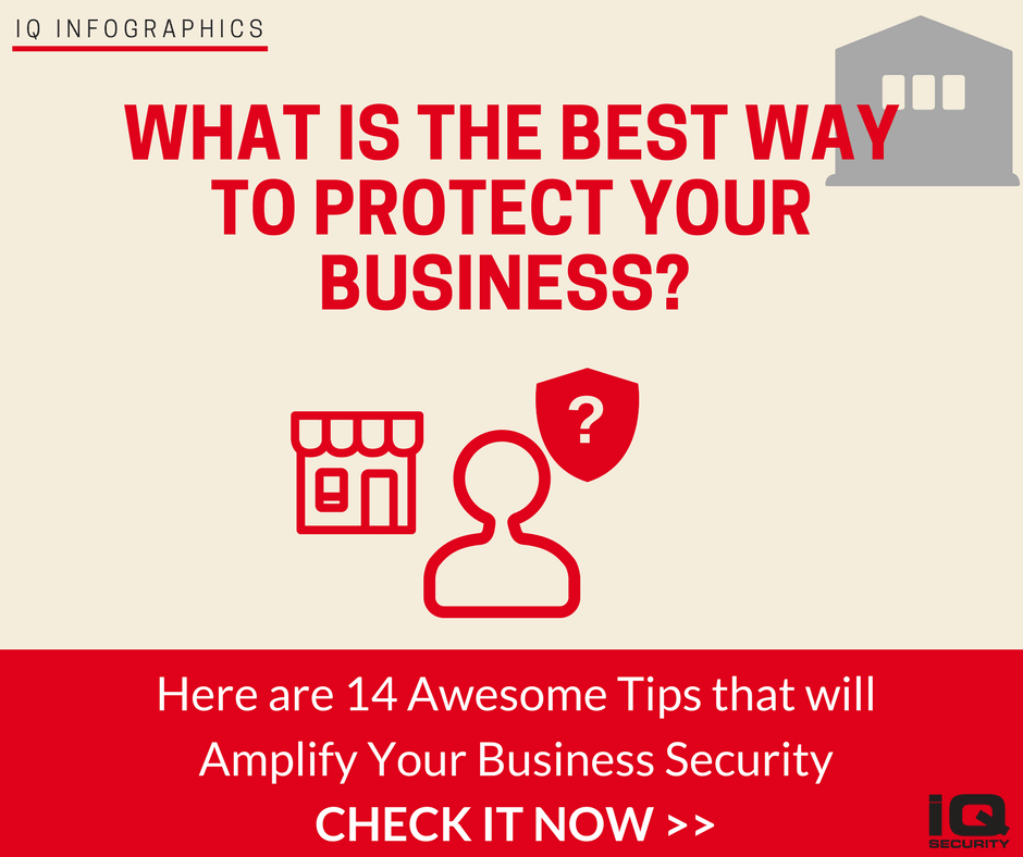 IQ Security Infographics Business Security 