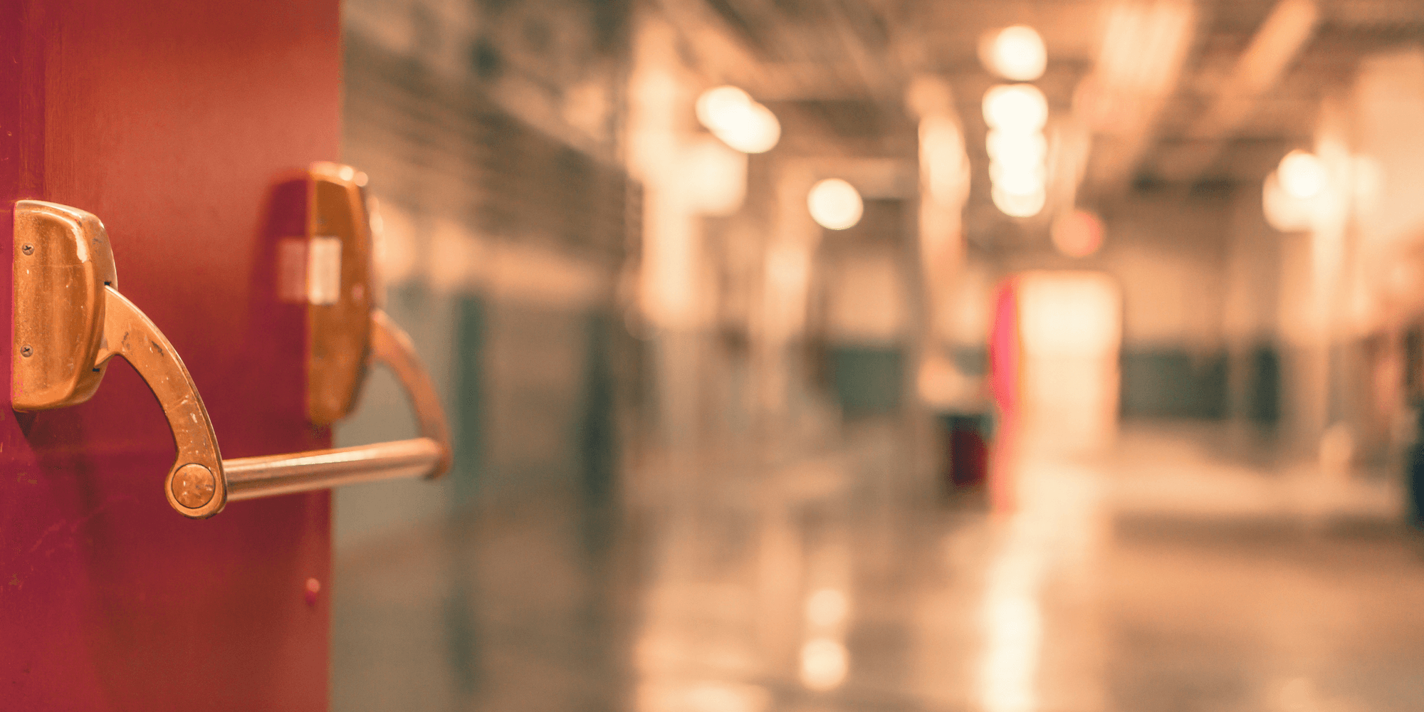 Loss Prevention IQ Security Experts Retail