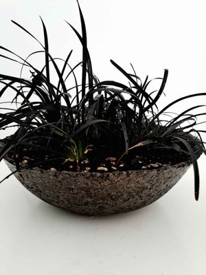 ORBIT PLANTER