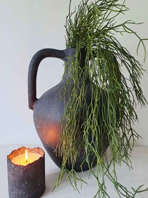 RHIPSALIS FOLIAGE
