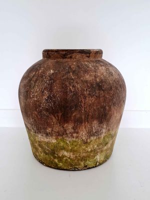 BORNEO POT