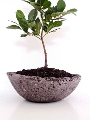 ORBIT PLANTER - DARK