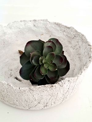 ARIA PLANTER - LIGHT