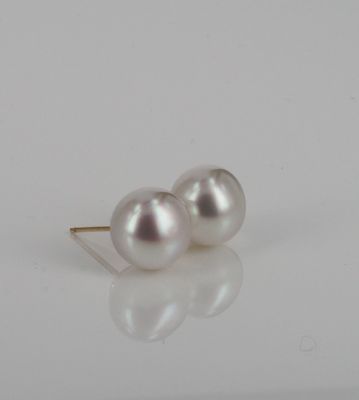 Earrings - South Sea pearl studs