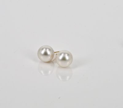 Earrings - White Australian South Sea pearl studs 10.5mm