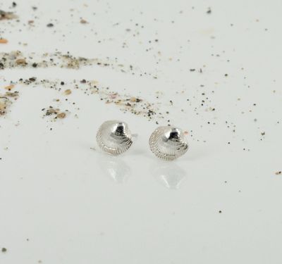 Small cockle shell studs