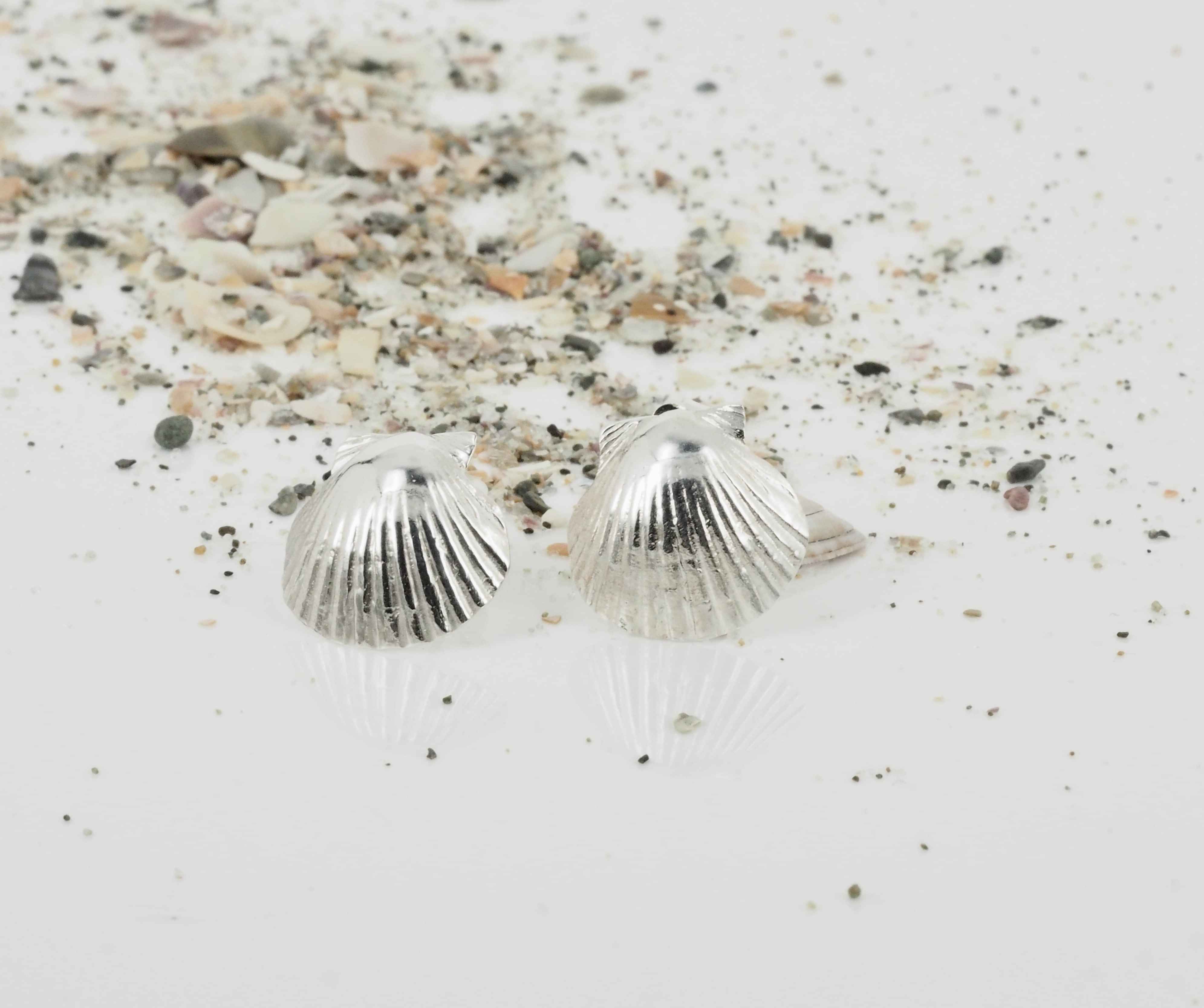 Scallop shell earrings