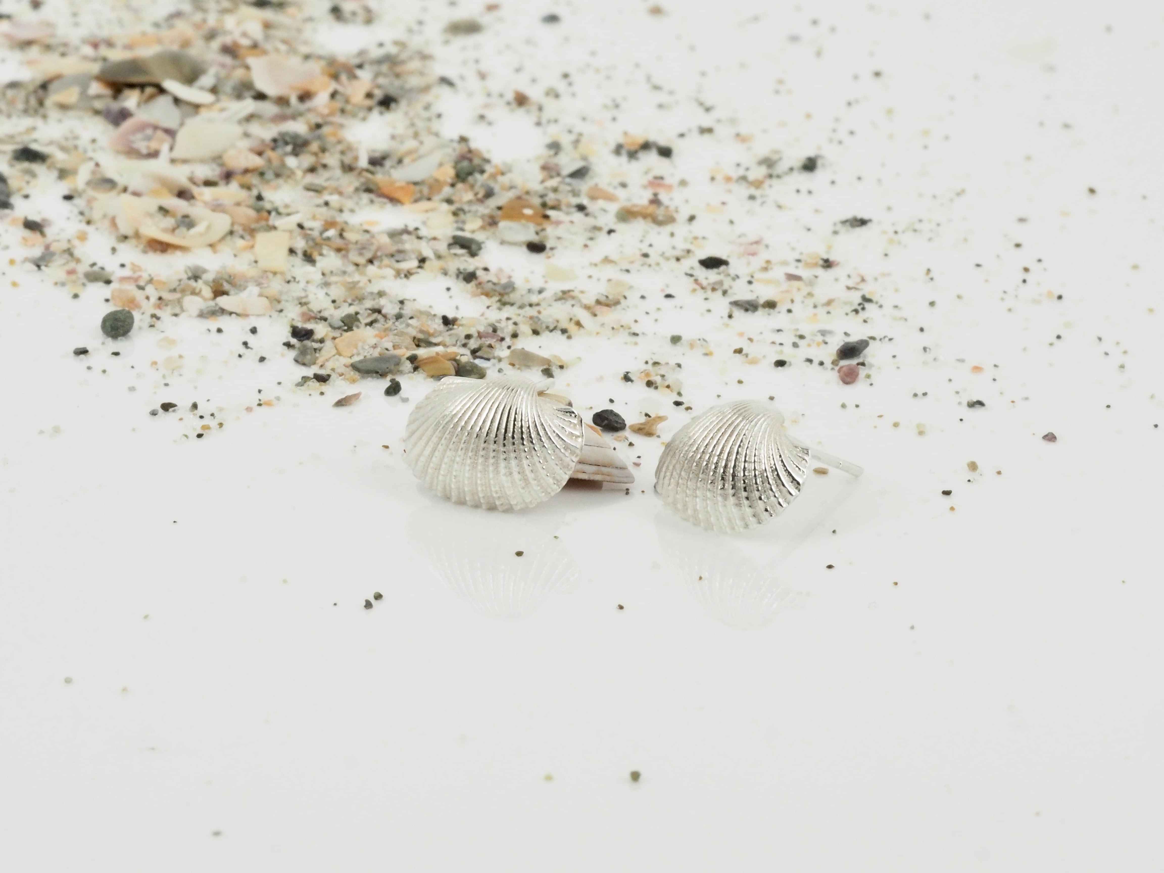shell earrings
