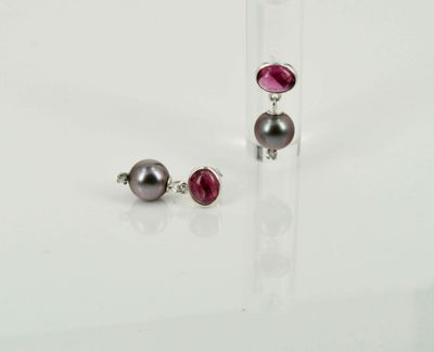 Earrings - Autumnal fruit