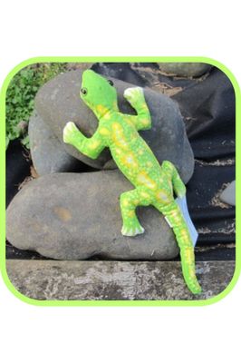 NZ Gecko