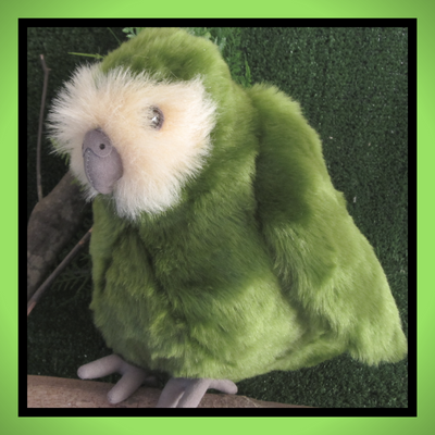 Kakapo plushie best sale