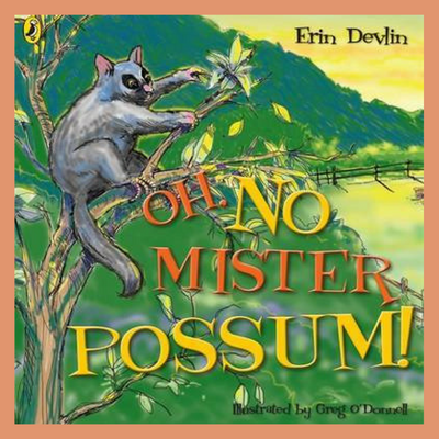 Oh No Mister Possum ! Book and CD