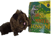 Possum, Hand Puppet and Book Combo