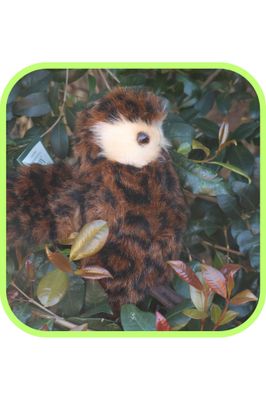 Morepork (Ruru) Small Soft Toy