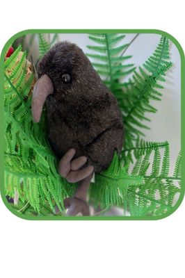 Little Spotted Kiwi ( Kiwipukupuku) Medium Size