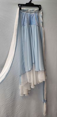 Blue/White Dress