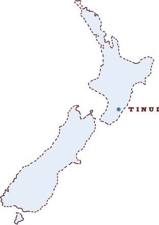 NZ Farm Girl home in Tinui, Wairarapa